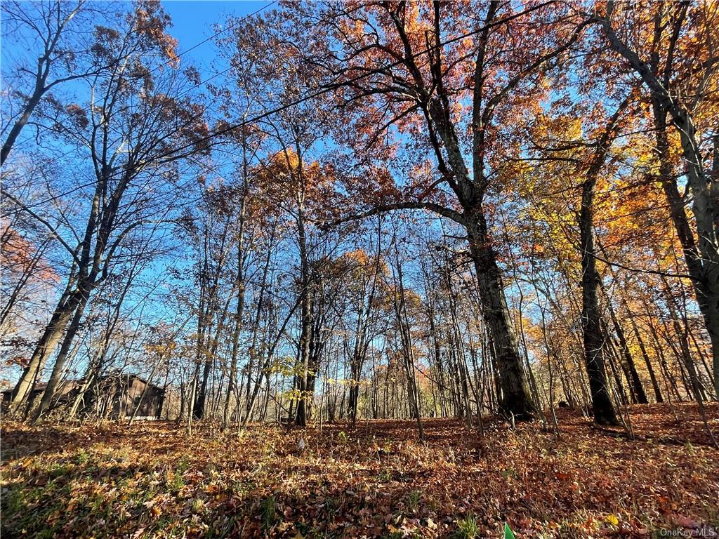 Land Orrs Mills  Orange, NY 12577, MLS-H6219128-7