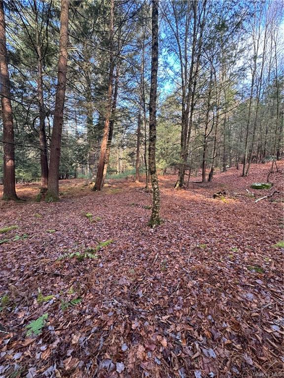 Land Tbd Clark Road Tr 21  Sullivan, NY 12733, MLS-H6280144-7