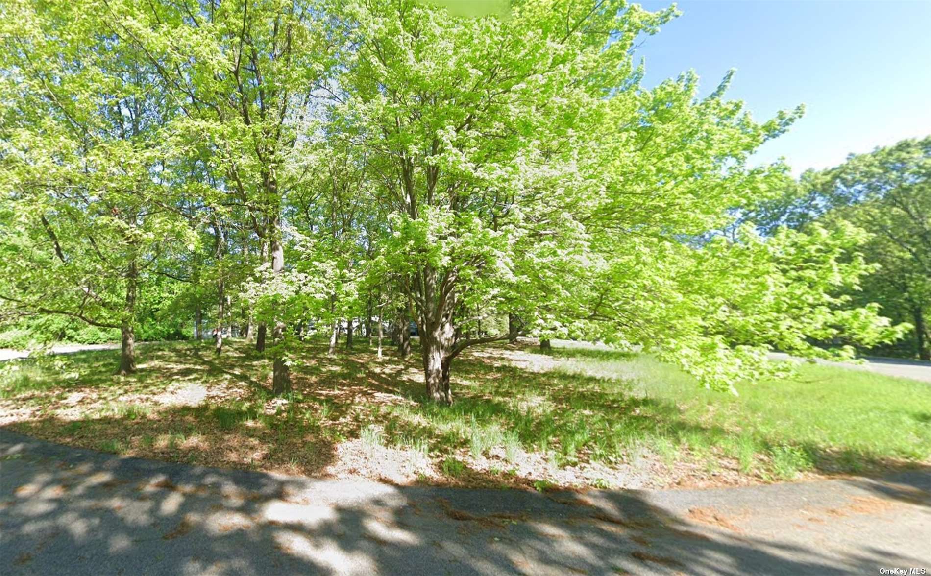 Land Edgewood  Out Of Area, NY 12204, MLS-3480151-7