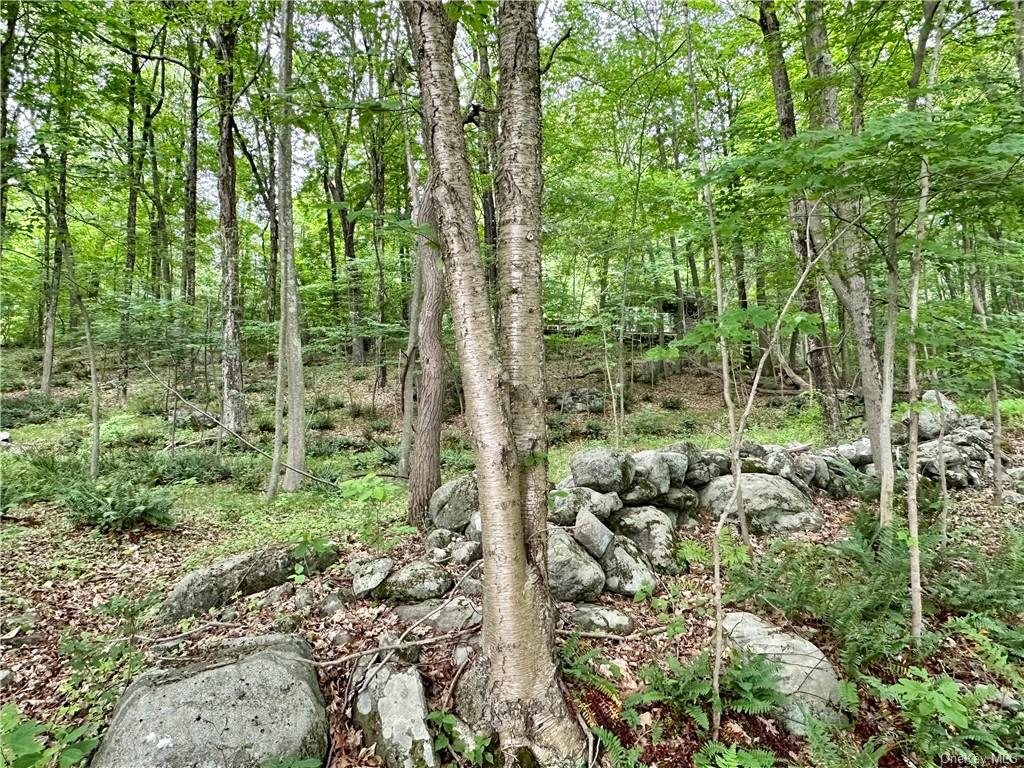 Land Pierson Lakes  Rockland, NY 10974, MLS-H6255156-7