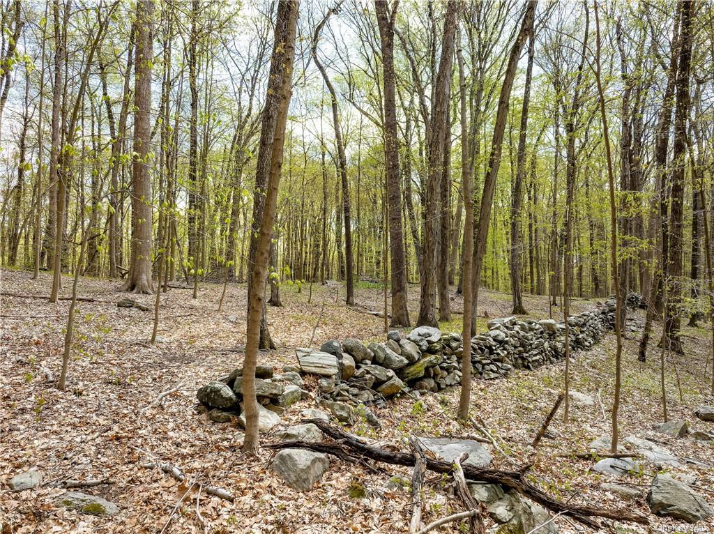 Land Creemer  Westchester, NY 10504, MLS-H6251162-7