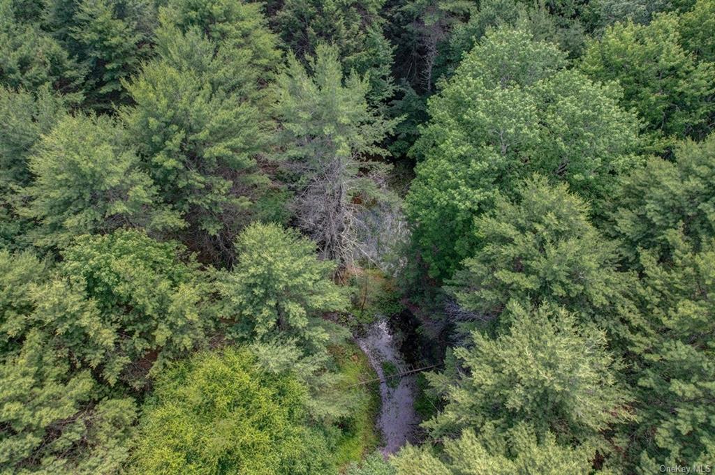 Land N/s French Clearing  Sullivan, NY 12777, MLS-H6195187-7