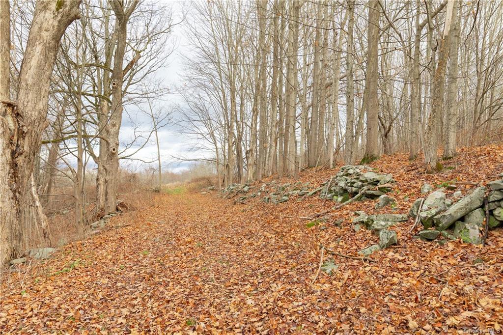 Land Cream  Dutchess, NY 12601, MLS-H6256190-7