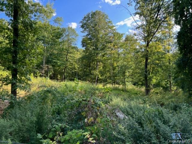 Land Deerwood  Dutchess, NY 12533, MLS-H6212196-7