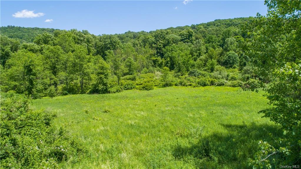 Land Valley View Farms  Dutchess, NY 12564, MLS-H6189210-7