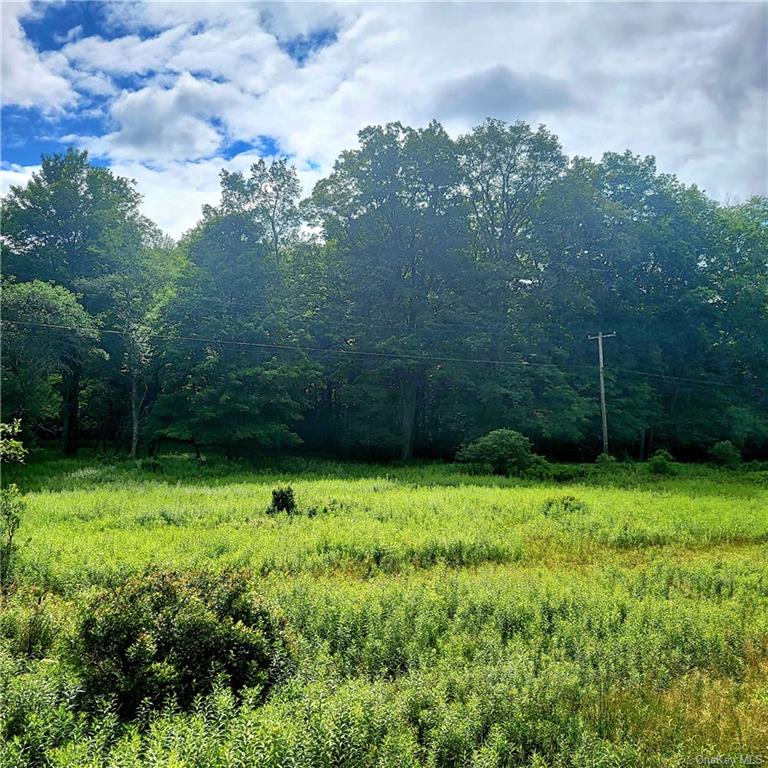 Land Schumway  Sullivan, NY 12765, MLS-H6262218-7