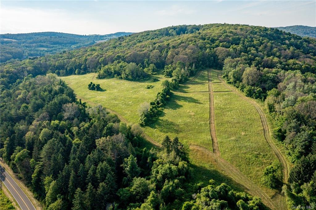 Land Old Route 22  Dutchess, NY 12546, MLS-H6210220-7