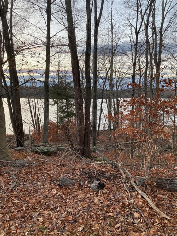 Land Starlight  Sullivan, NY 12775, MLS-H6279227-7