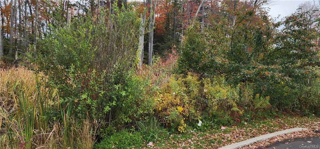 Land State Route 42  Sullivan, NY 12701, MLS-H6228231-7