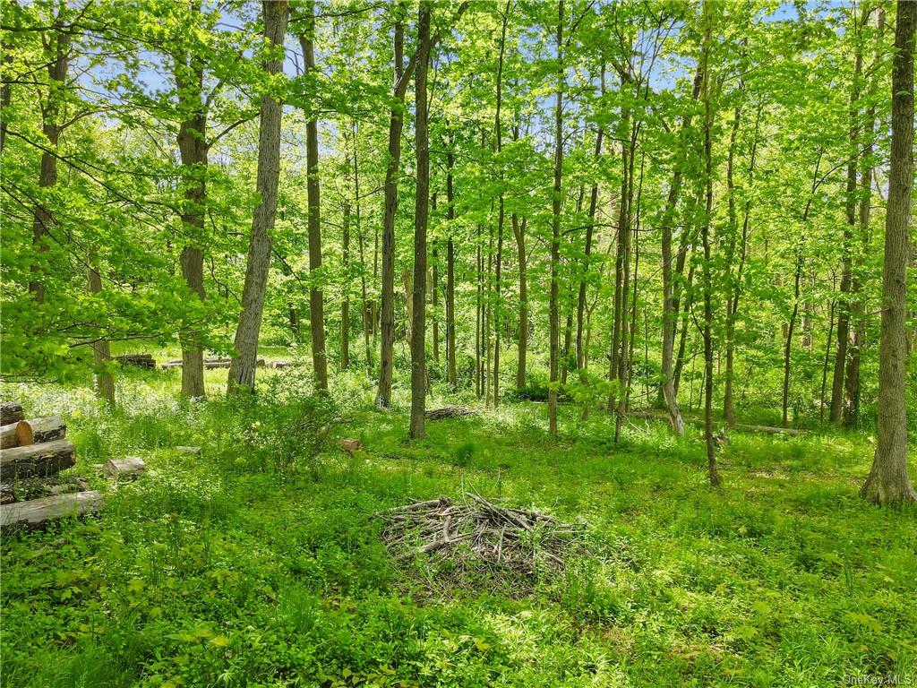 Land Old Post  Westchester, NY 10506, MLS-H6277277-7