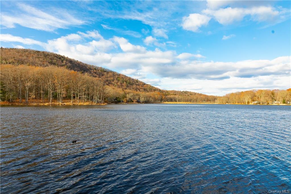 Land Lake  Dutchess, NY 12567, MLS-H6280278-7