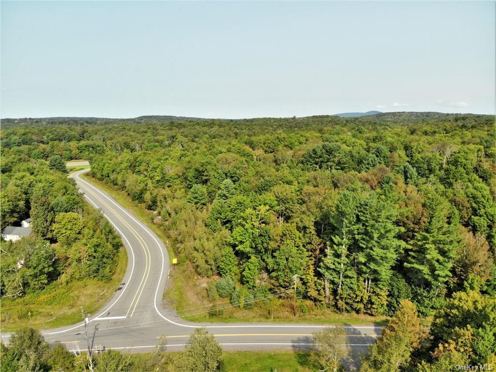 Land Nys Rt 17 And Old Rt 17  Sullivan, NY 12742, MLS-H6199294-7