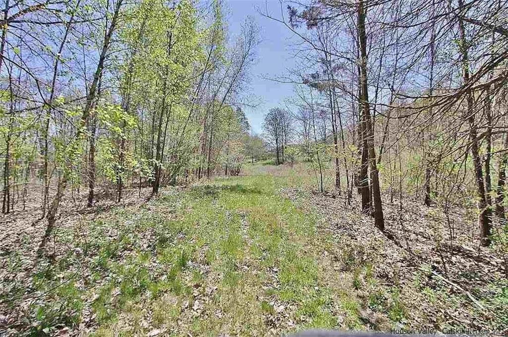 Land Esopus  Ulster, NY 12487, MLS-H6273308-7