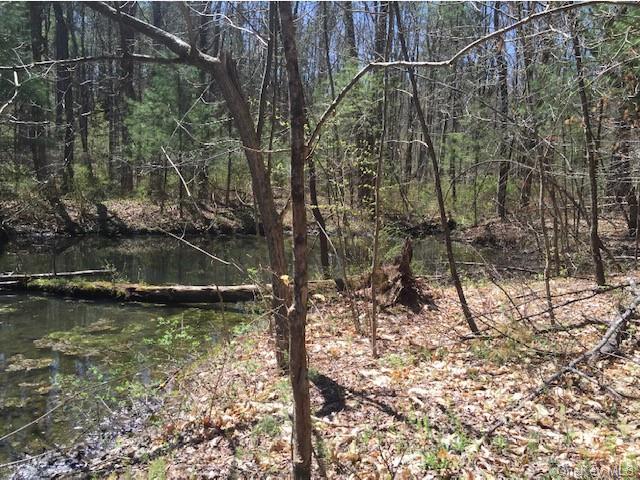 Land Route 209  Ulster, NY 12404, MLS-H6151324-7