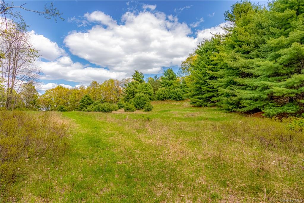 Land Gully  Ulster, NY 12420, MLS-H6249329-7