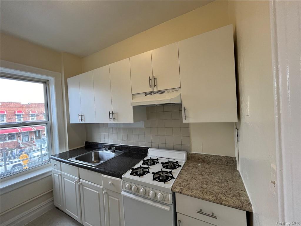 Apartment 221st  Bronx, NY 10469, MLS-H6280349-7