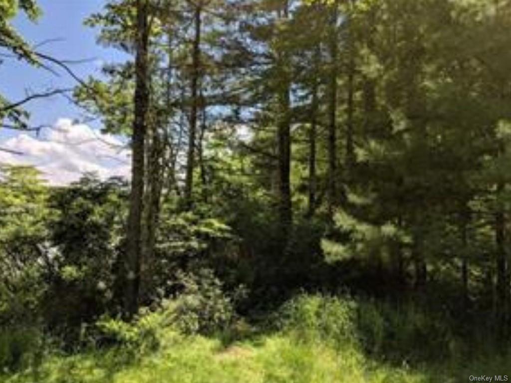 Land Taras Shevchenko Rd/elle  Sullivan, NY 12737, MLS-H6228378-7