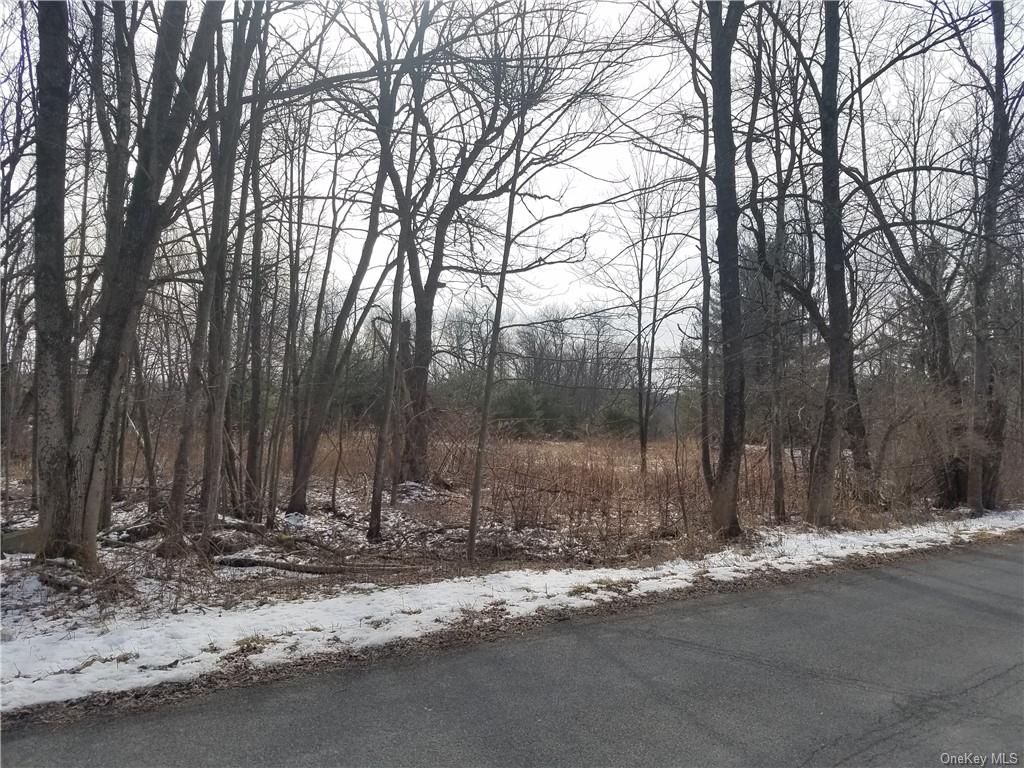 Land Lanahan  Sullivan, NY 12701, MLS-H6239382-7