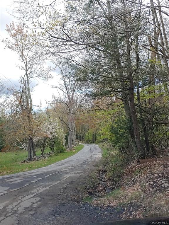 Land Mountain Top  Sullivan, NY 12790, MLS-H6247405-7