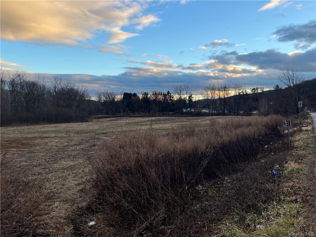 Land Route 22 Lot 1-4  Dutchess, NY 12522, MLS-H6267409-7