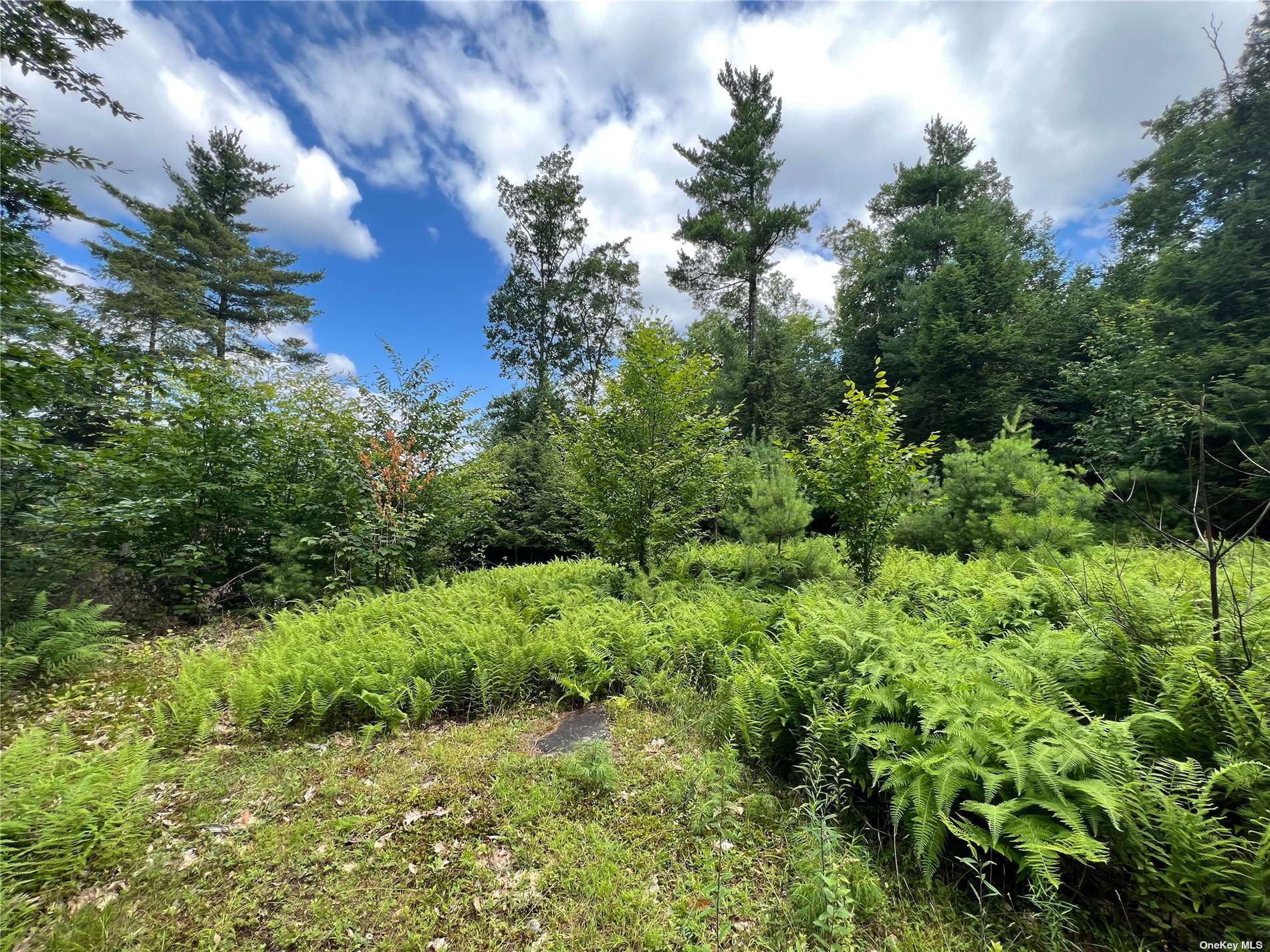 Land Shippee  Out Of Area, NY 12822, MLS-3481425-7