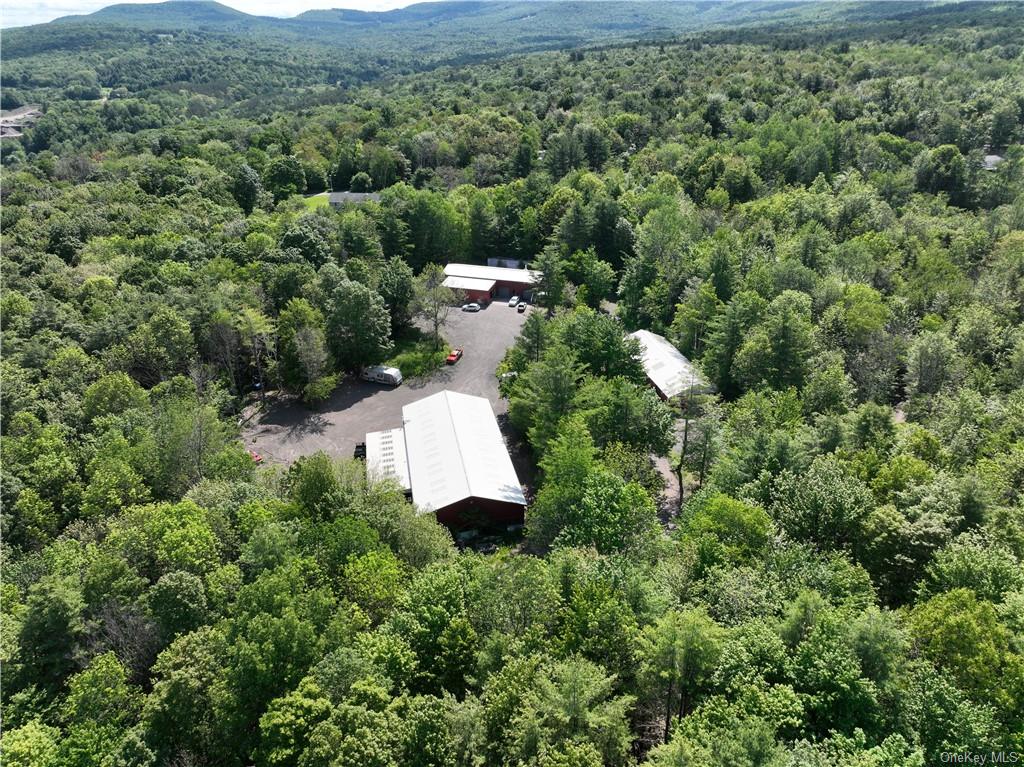 Land Beaver Hill  Out Of Area, NY 12076, MLS-H6256426-7