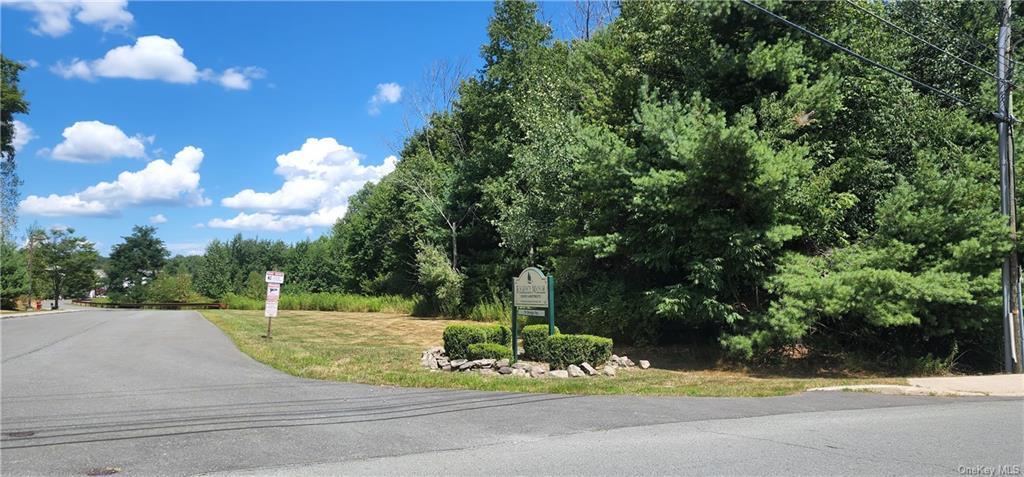 Land Sturgis  Sullivan, NY 12701, MLS-H6204431-7