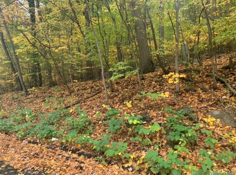 Land Route 17  Rockland, NY 10974, MLS-H6256441-7