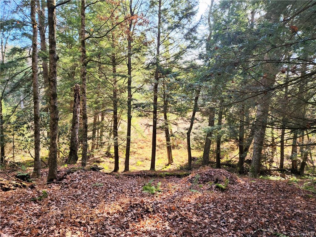 Land Hurd And Parks  Sullivan, NY 12720, MLS-H6219453-7