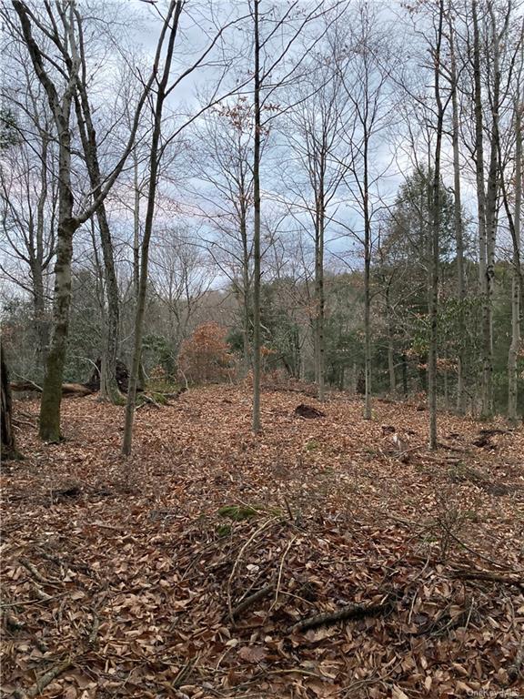 Land Kenoza  Sullivan, NY 12750, MLS-H6271467-7