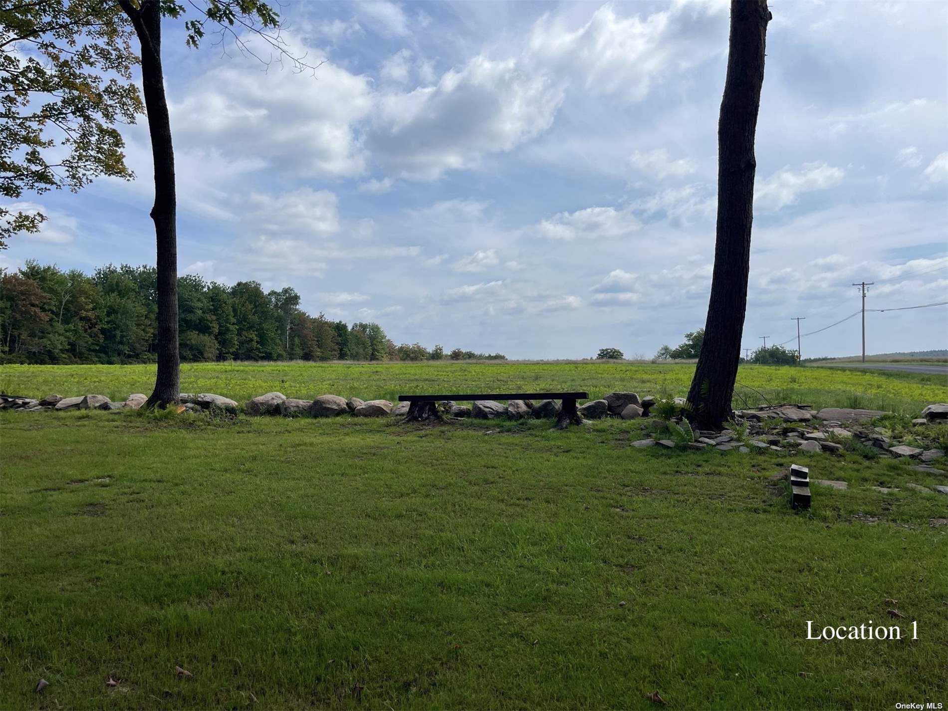 Land Tanzman  Sullivan, NY 12768, MLS-3506472-7