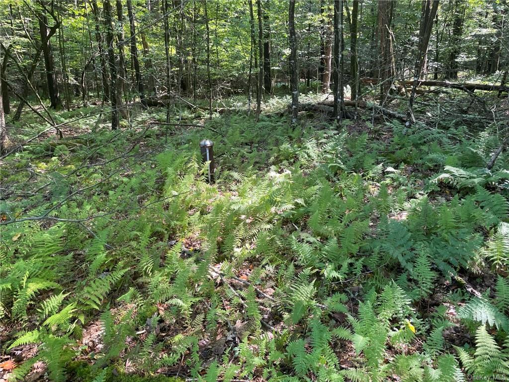 Land Lot 22.7 New Turnpike B  Sullivan, NY 12737, MLS-H6278485-7