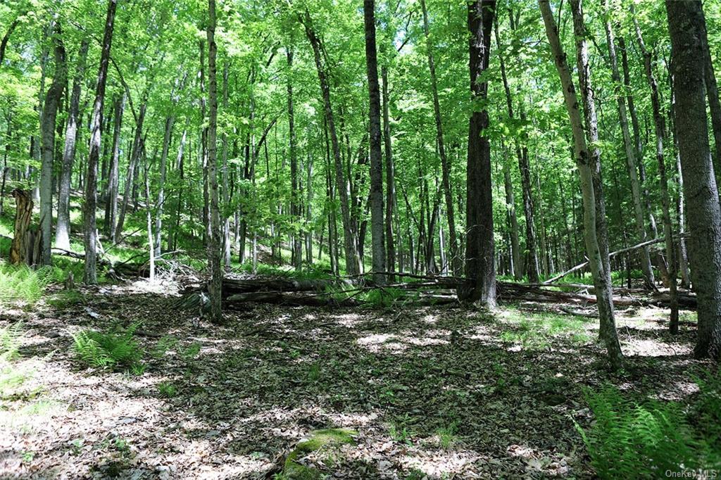 Land Barbara  Sullivan, NY 12723, MLS-H6280499-7