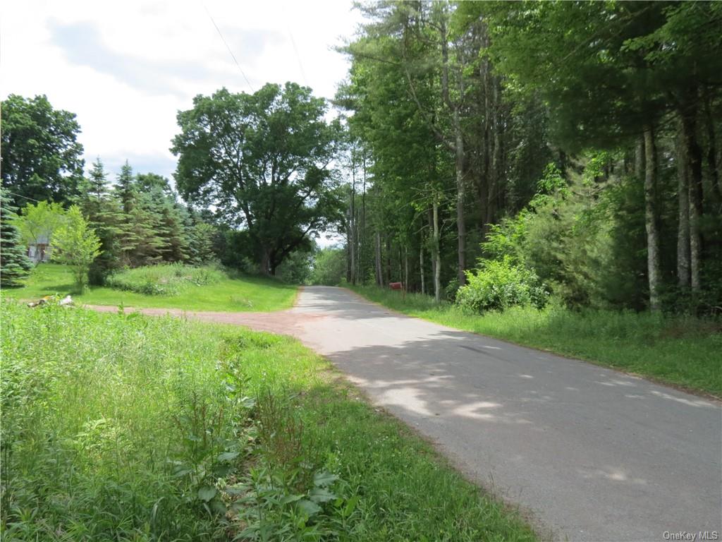 Land Kelly  Sullivan, NY 12726, MLS-H6044507-7