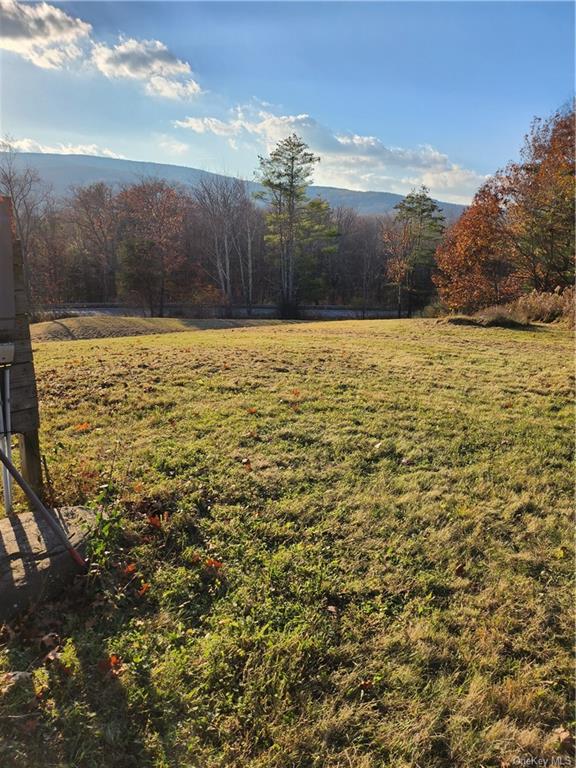 Land Smith  Out Of Area, NY 12469, MLS-H6278519-7