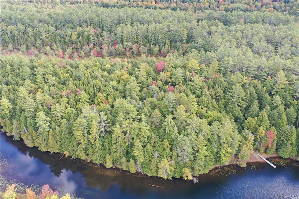Land Peninsula  Out Of Area, NY 12808, MLS-H6210524-7