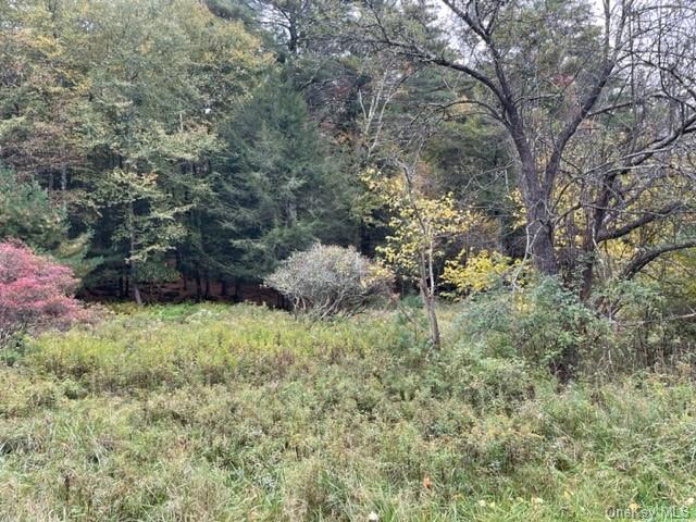 Land Chapin  Sullivan, NY 12720, MLS-H6273528-7