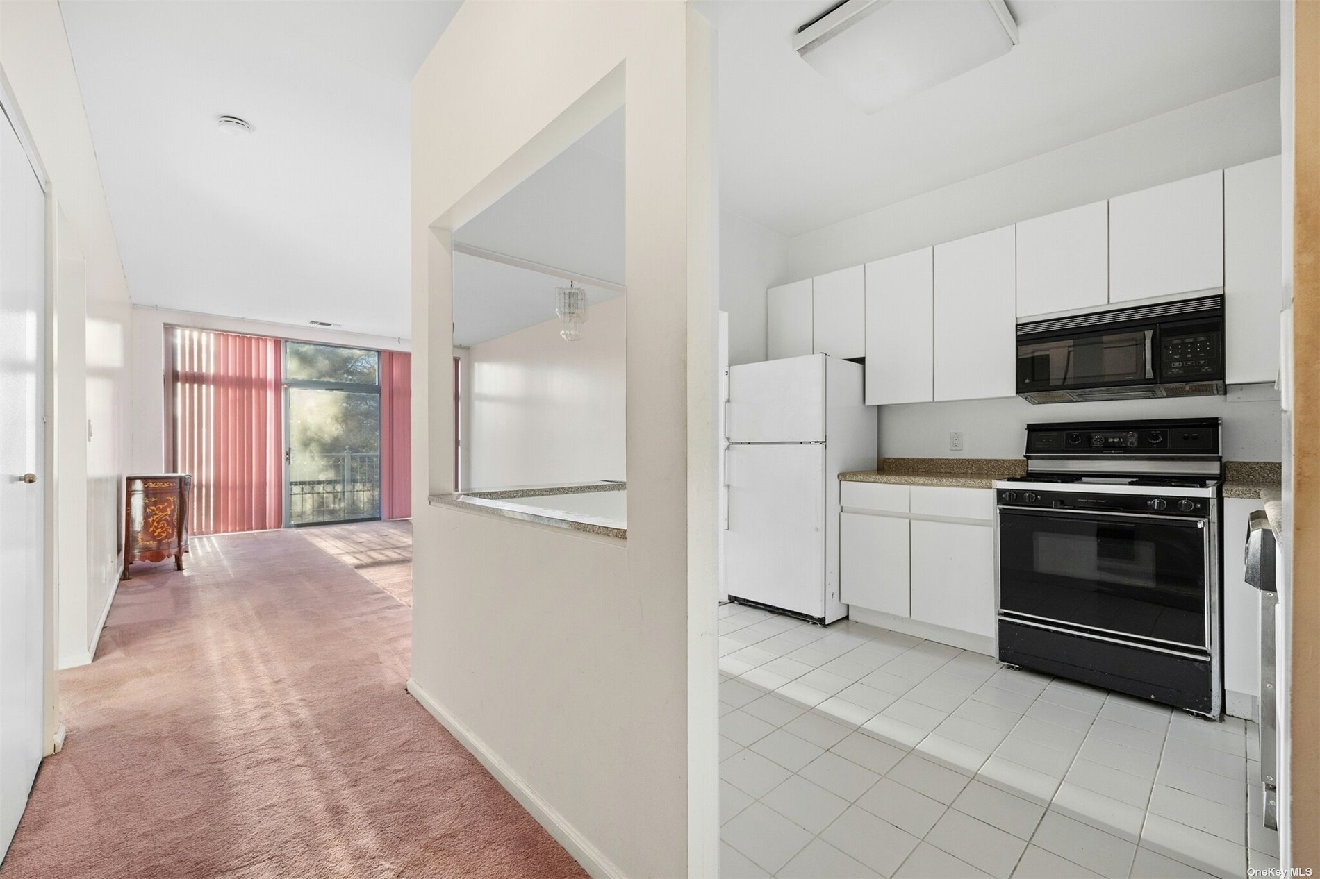 Condo Louisiana  Brooklyn, NY 11239, MLS-3519557-7