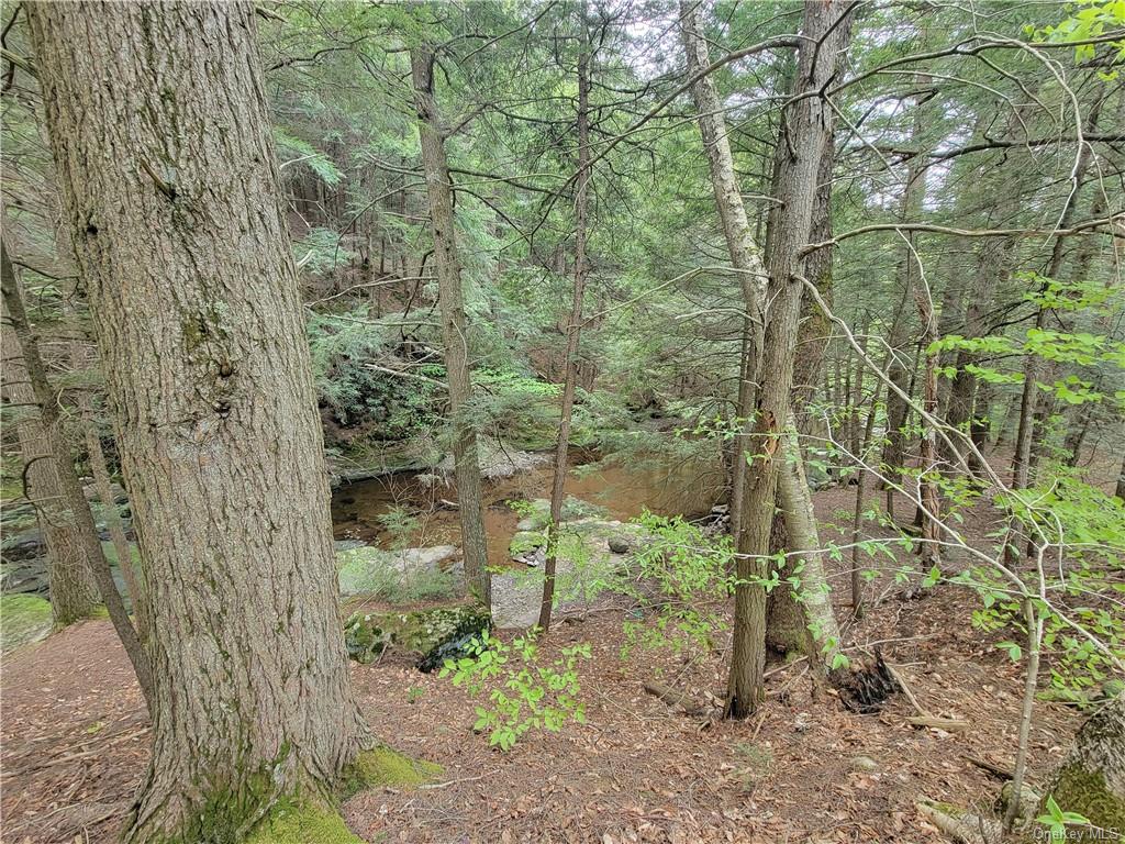 Land Eagles Ridge  Sullivan, NY 12768, MLS-H6232574-7