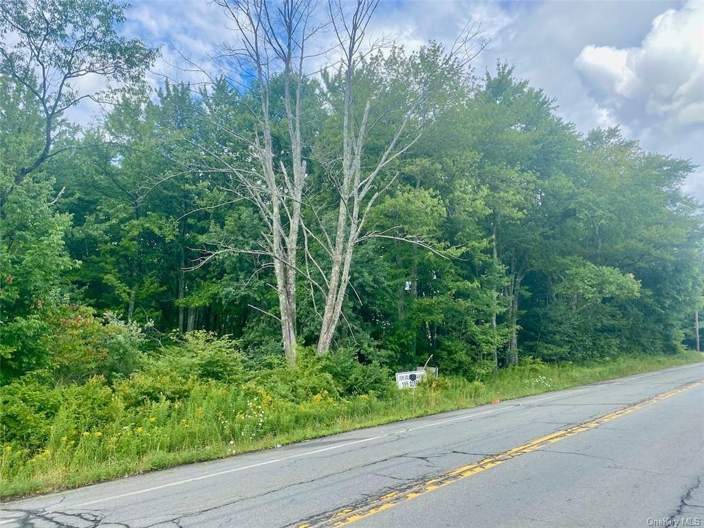 Land Broadway  Sullivan, NY 12701, MLS-H6239591-7