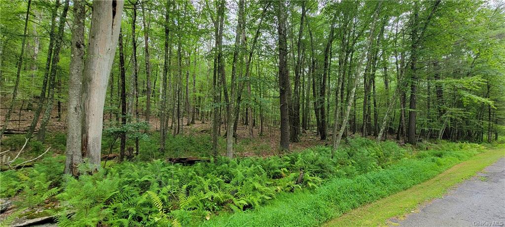 Land Hawks Nest  Out Of Area, NY 18428, MLS-H6265593-7