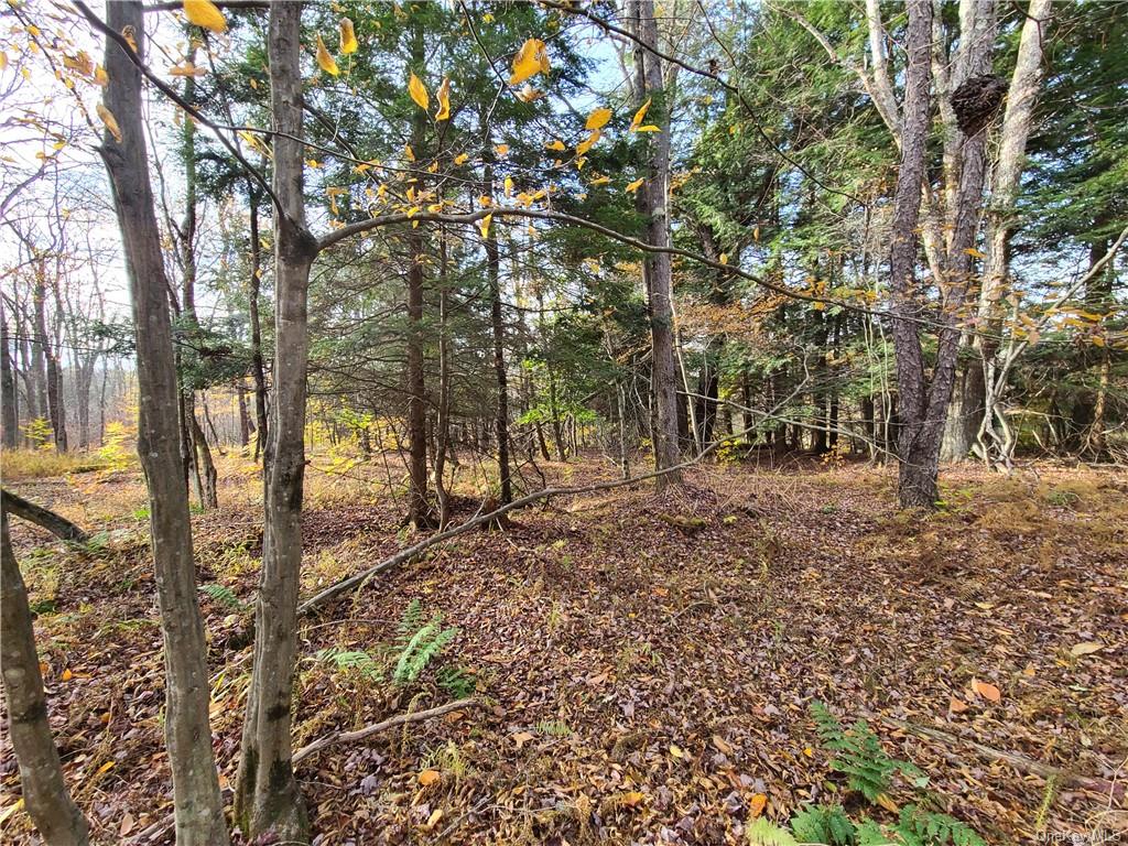 Land Beaver Lake  Sullivan, NY 12758, MLS-H6232604-7