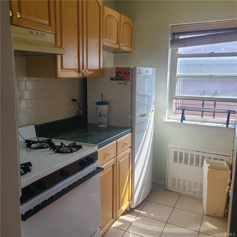 Apartment Riverdale  Bronx, NY 10463, MLS-H6273616-7