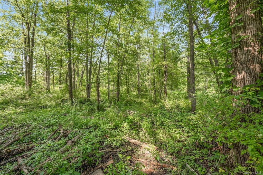 Land Y Pine  Westchester, NY 10517, MLS-H6259622-7