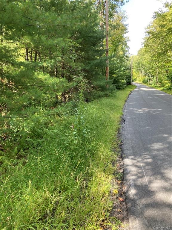 Land Plank  Sullivan, NY 12777, MLS-H6190627-7