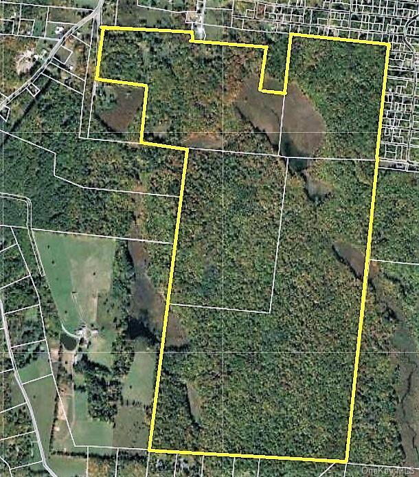 Land Mitchell  Sullivan, NY 12786, MLS-H6243649-7