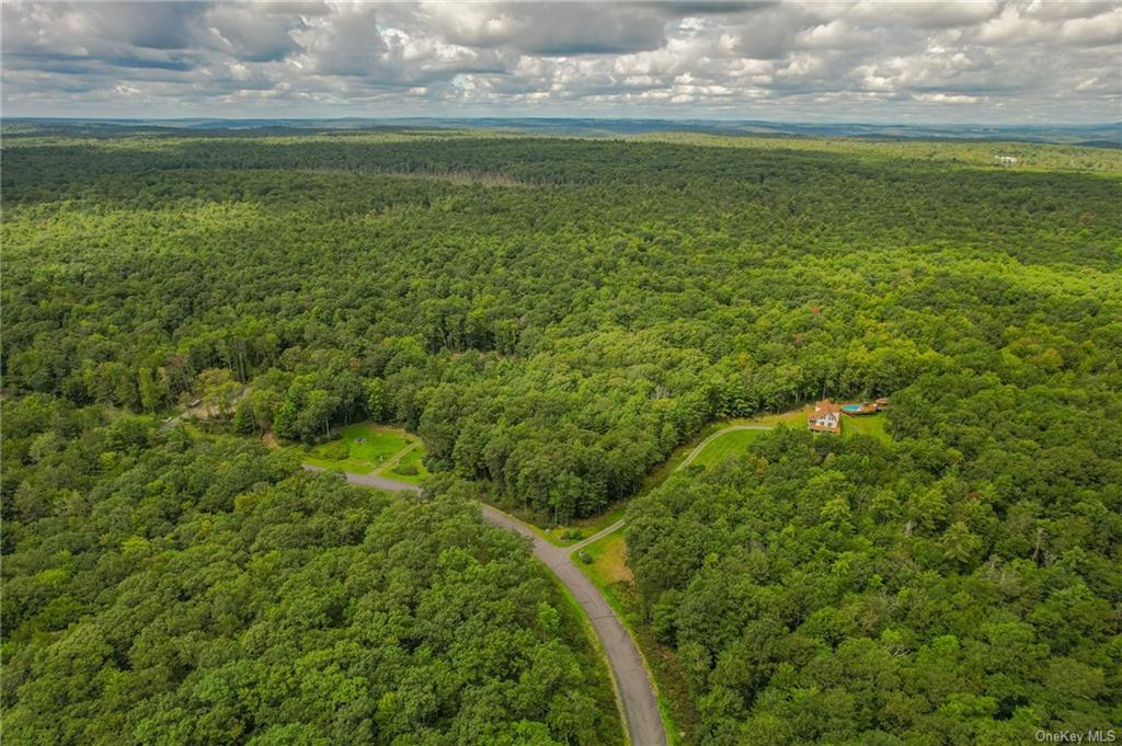 Land Renner  Sullivan, NY 12733, MLS-H6266666-7