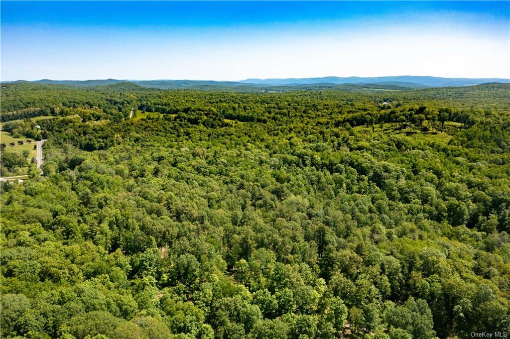 Land Academy Hill  Dutchess, NY 12571, MLS-H6251686-7