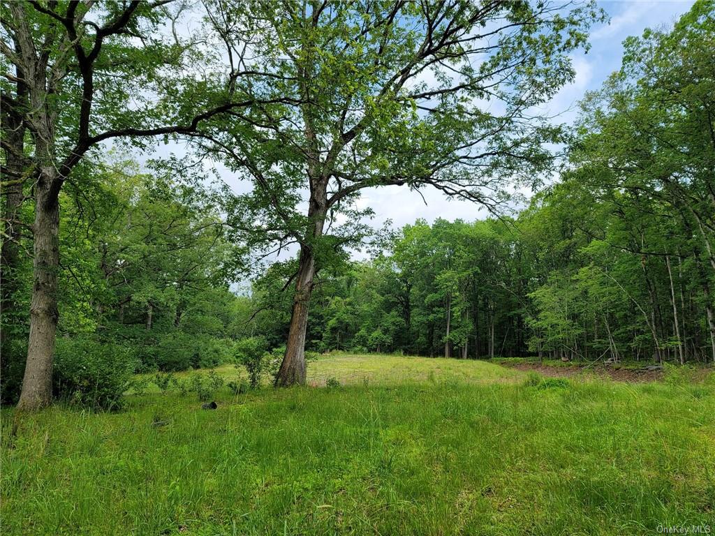 Land Route 97  Sullivan, NY 12764, MLS-H6257688-7