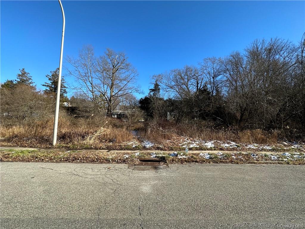 Land Front  Westchester, NY 10598, MLS-H6276695-7